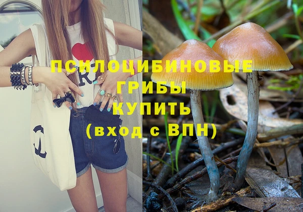 гидропоника Алексин
