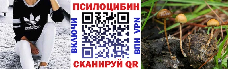 Галлюциногенные грибы Psilocybine cubensis  MEGA вход  Кызыл  купить наркотики сайты 