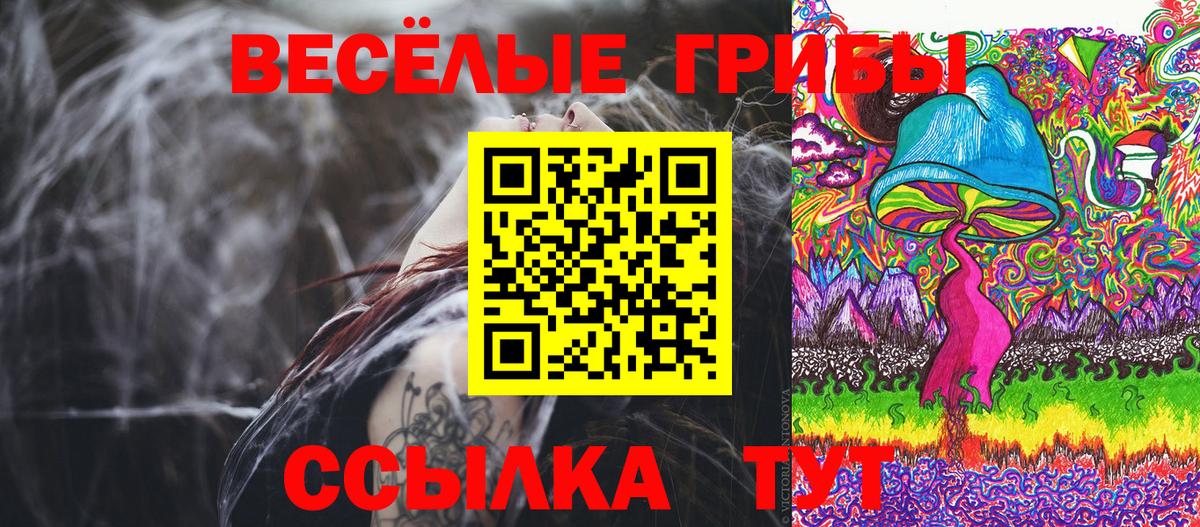 Галлюциногенные грибы прущие грибы Кызыл